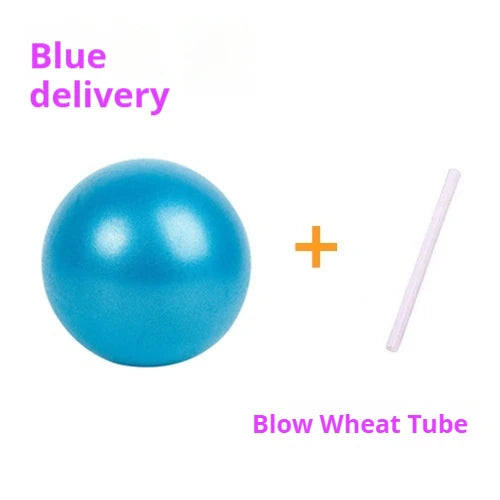 25cm Mini Pilates Yoga Ball – Anti-Burst PVC