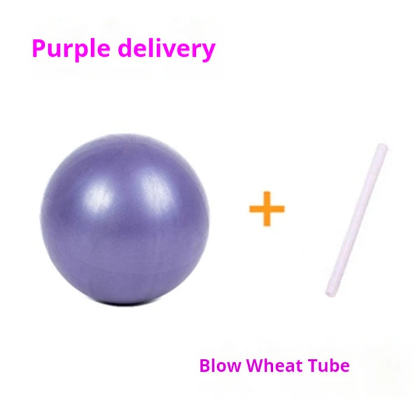25cm Mini Pilates Yoga Ball – Anti-Burst PVC